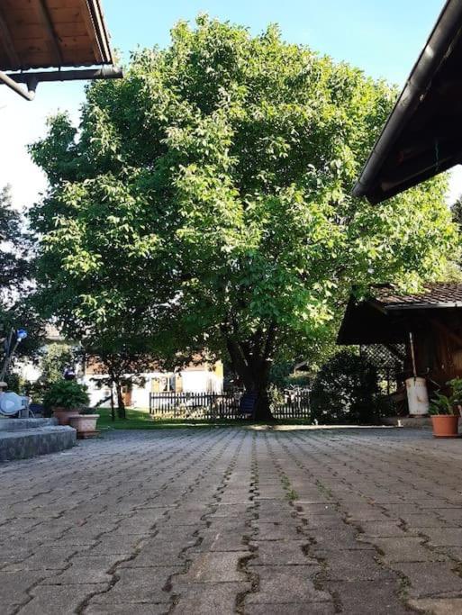 Apartment Moosblick Zwischen Bergen Und See 베네딕트보이에른 외부 사진