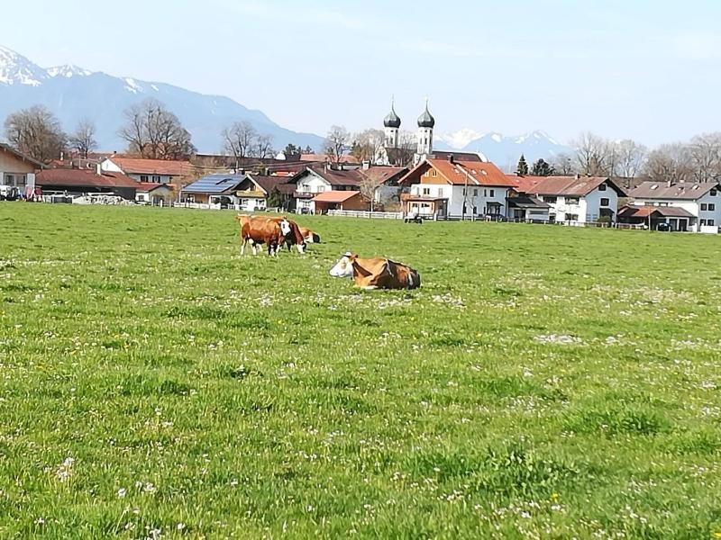 Apartment Moosblick Zwischen Bergen Und See 베네딕트보이에른 외부 사진